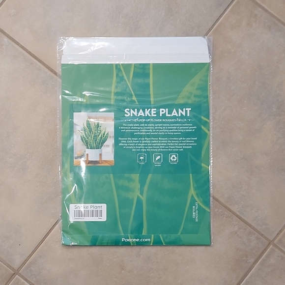 Vibrant Green Snake Plant Pop-Up Card - Picture 8 of 9